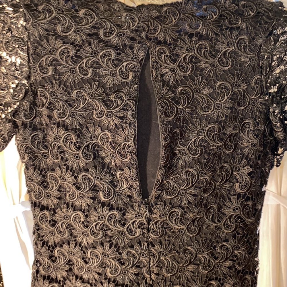 Zara Collection black lace shortsleeve dress cocktail wedding dressy NWT Small​​ - Picture 8 of 15